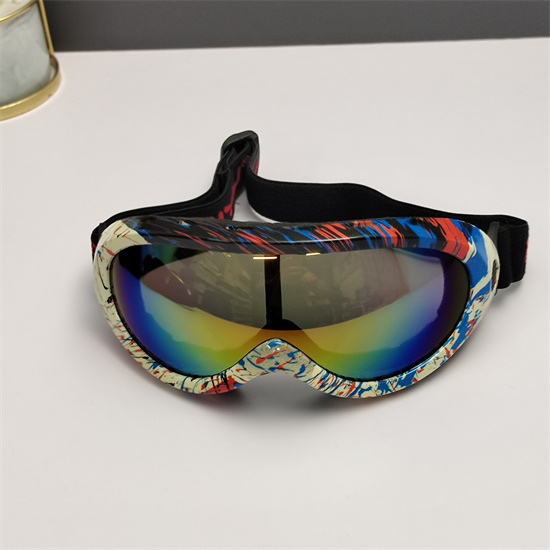 Oakley Ski Goggles 005
